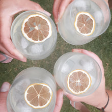 Load image into Gallery viewer, Mixed Citrus Pouch 20g